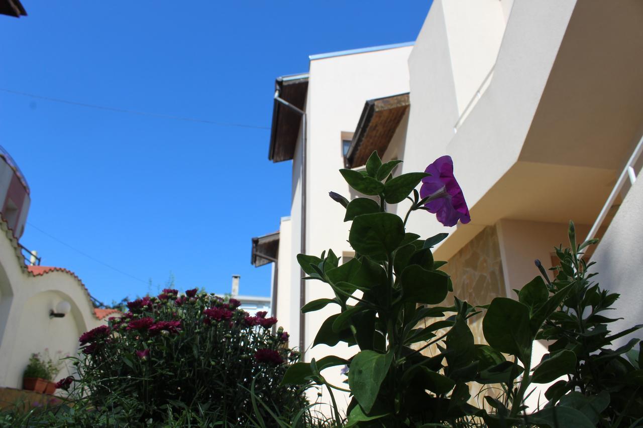Siana House Hotell Ravda Exteriör bild